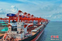 港产联动 广西防城港港企双向赋能成良性循环